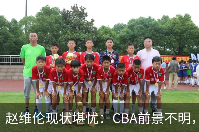 赵维伦现状堪忧：CBA前景不明，能否重返顶级赛事？
